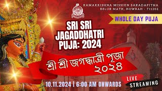 Jagaddhatri Puja 2024  Whole Day Puja  RKM Saradapitha [upl. by Hguh61]