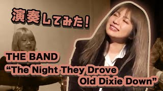 THE BAND  The Night They Drove Old Dixie Down The Lady Shelters cover [upl. by Som]