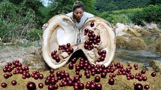 The girl pried open the native clam revealing countless dazzling pearls which were very charming [upl. by Amin]