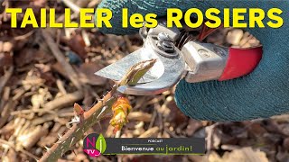 COMMENT ET POURQUOI TAILLER LES ROSIERS… TOUS LES CONSEILS ET LES BONS GESTES AVEC PATRICK ET ROLAND [upl. by Baalbeer]