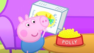 Peppa Pig Nederlands  Polly Op Vakantie  Tekenfilms voor kinderen [upl. by Dallas833]