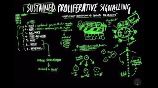 Sustained Proliferative Signalling  LearningAboutCancer [upl. by Kant]