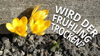 Wetter im Frühling 2019 NOAA kündigt Trockenzeit an [upl. by Zurheide404]