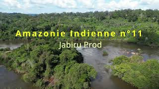 Amazonie Indienne n°11 [upl. by Odel]