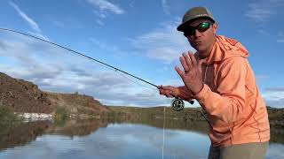 The Ultimate Bass Fly and How to Fish It  Richs Ultimate Bass Worm [upl. by Sinai]