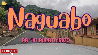 Naguabo PUERTO RICO in 4K Road 191 near El Yunque 2024 [upl. by Ahse]