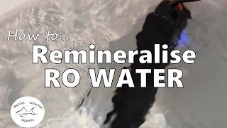 How to remineralise RO water  Freshwater Aquariums [upl. by Ecenaj]