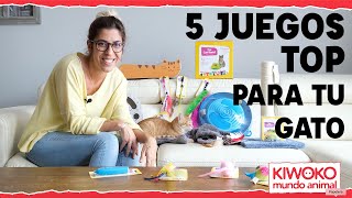 TOP 5 Mejores JUGUETES para GATOS caseros 🐈📦🎏 [upl. by Ettenauq]