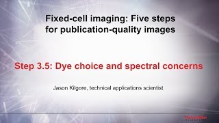 Five Steps Video35Detecting Your Sample–Dye Choice and Spectral Concerns [upl. by Sollie]