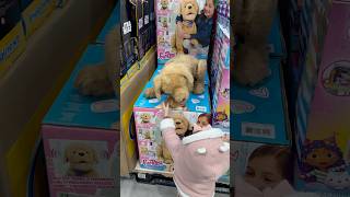 Encontramos un perrito que parece real 😱😳 vlogdeldia mividadiaria minivlog momlife [upl. by Chamberlain528]