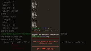 Git Quick gitignore rules [upl. by Yrekcaz492]