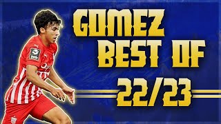 Johan Gómez Best of 202223 [upl. by Marybeth657]