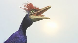 Ce petit dinosaure survit grâce à son cri rahonavis  ZAPPING SAUVAGE [upl. by Nnasor744]