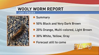 Wooly Worm Percentages [upl. by Fonda]