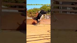 dangerous eiduladah cow jump injured dad eidspecial 2k25 cowmandi 😭😭😭😭😭 [upl. by Mal]