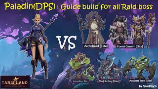 PaladinDPS  Build for raid boss  Tarisland [upl. by Simons884]