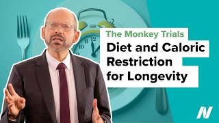 Diet and Caloric Restriction for Longevity—The Monkey Trials [upl. by Ahsiekat]