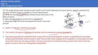 22 The image below shows two germinated seeds X and Y which belong tothe same species Seed X is [upl. by Alue]