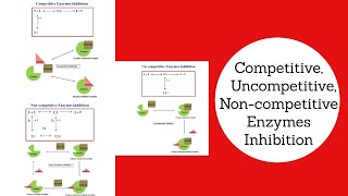 Competitive Uncompetitive amp Non Competitive Inhibition Explained Biochemical amp Bioprocess Engg [upl. by Christean]