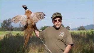 Official Ojai Valley Taxidermy TV Commercial [upl. by Brand]