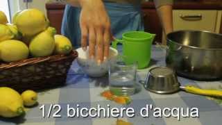 Come fare lo sciroppo di limoni per tante freschissime limonate [upl. by Vyse278]