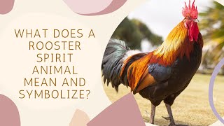 What Does A Rooster Spirit Animal Mean and Symbolize [upl. by Mayda]