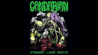 Candarian  Stagnant Livor Mortis  Demo  Metal  Death Metal  2024 [upl. by Darrill20]