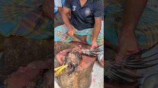 Amazing Special Desi Chicken Cutting Skills In Bangladesh Chicken Market 😱 shorts [upl. by Anihta]