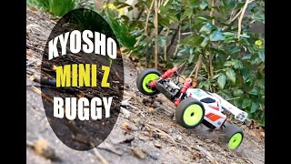 Kyosho Mini Z Buggy  Turbo Optima Mid SP 4WD [upl. by Blumenfeld]