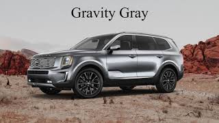 2020 Kia Telluride Color Options  Whats Your Favorite Best New 3 Row SUV [upl. by Eseilenna]