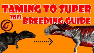 Easy to understand Breeding Guide 2021  Ark Survival Evolved [upl. by Atrebor]