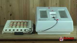 Professional Egg Incubator Kit With Turner [upl. by Karissa]