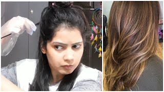 घर पे बालो को highlight करे  how to highlight hair at home  streax ultra light hair color [upl. by Sergeant]