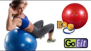 GoFit Guide Ball Pro Stability [upl. by Aizirtap273]