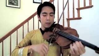 Star Trek Theme Medley on Violin [upl. by Hendrick]