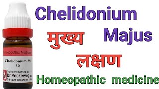 Chelidonium Majus q homeopathic medicine symptoms amp uses in hindi [upl. by Haisa166]