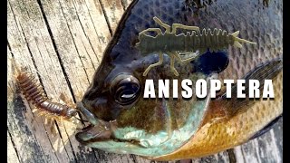 EUROTACKLE MICRO FINESSE ANISOPTERA [upl. by Mile]