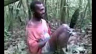 Wild bore hunting story Nakavika Fiji [upl. by Ayekal162]