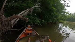 NEW Canoe Catfishing Catch And Keep Today [upl. by Grew]