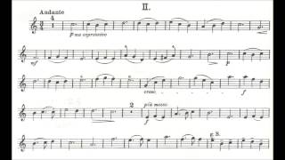 Küchler Ferdinand opus 11 for violin  piano [upl. by Atteynot]