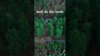 Lost in the Woods satysfying ytshorts shorts nature [upl. by Desi49]