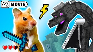 Hamster survival in Minecraft Ep2 😱 Hamster vs Ender Dragon 😱 Homura Ham [upl. by Dola]