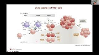 Wei Su CD8 T cells friend or foe in neurodegeneration [upl. by Rudolph949]