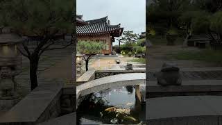 Traditional Korean Style Houses in Gyeongju  buddhist travelvlog [upl. by Faustus]