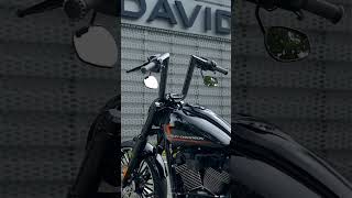 Midnight Rider softail breakout harleydavidson [upl. by Brennen]