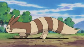 Sentret and Furret Pokemon all Attacks pokemon sentret furret all new attacks [upl. by Ardiek422]