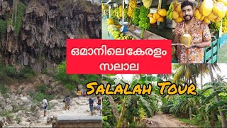 ഒമാനിലെ കേരളം സലാല Salalah Vlog Oman Tourist Spots in Salalah vlog 1 [upl. by Marquet815]