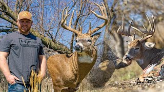 KALEBS WHITETAIL TROPHY ROOM TOUR [upl. by Maya]