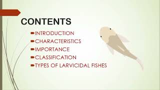 Larvicidal Fishes Classification  Examples  Importance  UrduHindi  Syed Haroon Haidar [upl. by Blount]