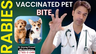 Vaccinated Pet Dog Bites a Person Can It Still Cause Rabies by Dr Anurag Prasad Hindi [upl. by Eddina]